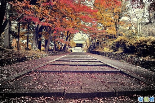 女生愛情說(shuō)說(shuō)幸福甜甜蜜蜜帶圖片 qq幸福說(shuō)說(shuō)一句話大全超簡(jiǎn)單5