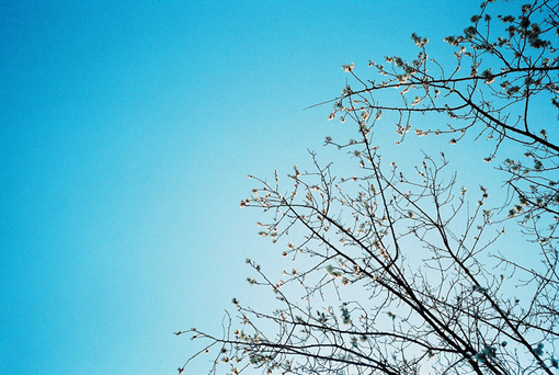 愛(ài)情中的孤獨(dú)寂寞說(shuō)說(shuō) 每個(gè)人都曾在愛(ài)情中流淚的傷感說(shuō)說(shuō)2