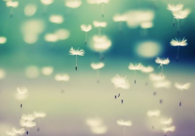 幸福說(shuō)說(shuō)帶圖片7