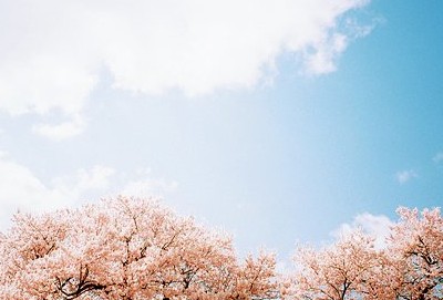 最新說(shuō)說(shuō)帶圖片4