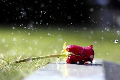 流行的說說帶圖片5