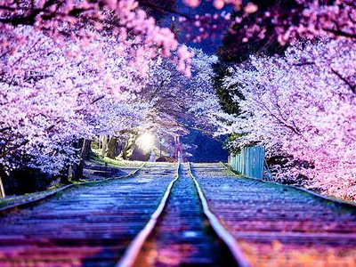 傷感說說帶圖片1