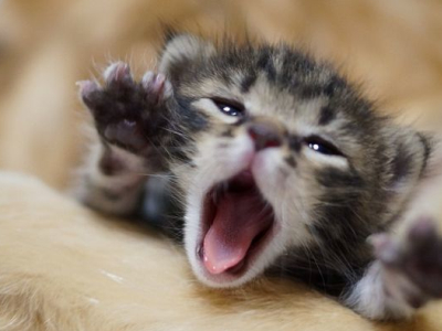 QQ說說圖片素材2