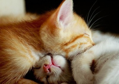 帶圖片的戀愛(ài)說(shuō)說(shuō)2