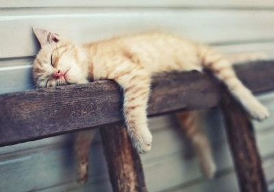 個(gè)性說(shuō)說(shuō)帶圖片7