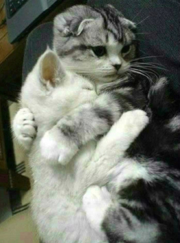 心情短語帶圖片2