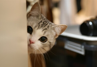 帶圖片的空間說(shuō)說(shuō)6