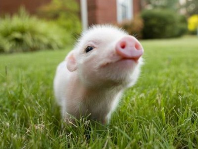 QQ空間搞笑說說帶圖片：誰說金錢買不來時(shí)間？網(wǎng)管，加兩塊錢！