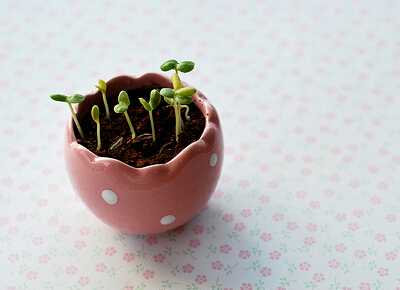 感悟人生的說說帶圖片7