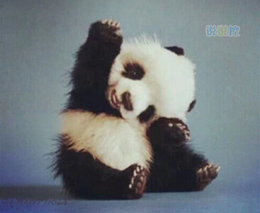 文字控說說加圖片7