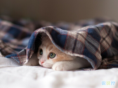 內(nèi)涵說說帶圖片：看過了你喜歡的人，才知道我是敗給了你的品位