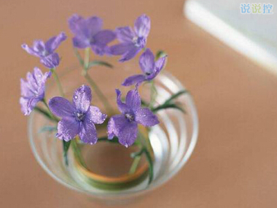 QQ個(gè)性說說帶圖片2