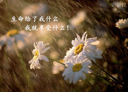 勵志說說圖片帶字5