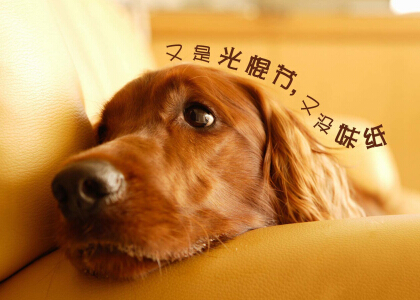 光棍節(jié)說(shuō)說(shuō)帶圖片，光棍節(jié)圖片說(shuō)說(shuō)大全