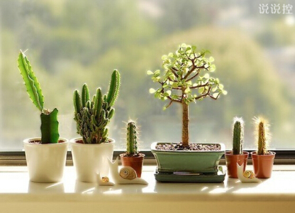 經(jīng)典說說圖片5