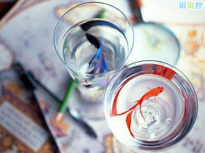 人氣說說帶圖片2 人氣說說帶圖片2