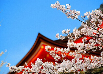 人氣說說帶圖片5 人氣說說帶圖片5