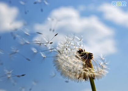 唯美說說帶圖片6