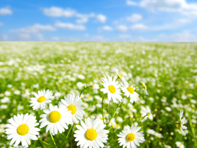 勵志說說圖片素材1 勵志說說圖片素材1