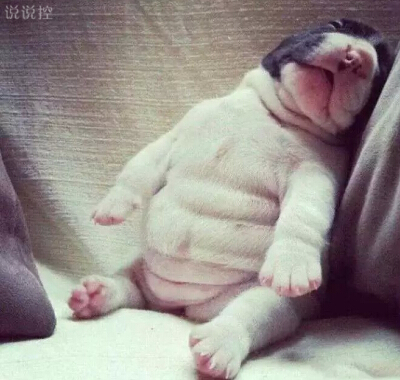 經(jīng)典搞笑的QQ說(shuō)說(shuō)