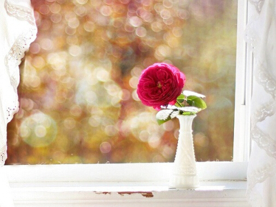 愛一個(gè)人的說說帶圖片7