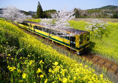 傷感說說大全帶圖片2