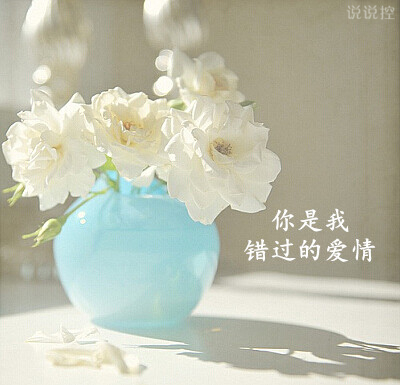 愛情說說大全帶圖片7