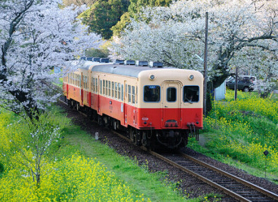 經典說說帶圖片別人必評1