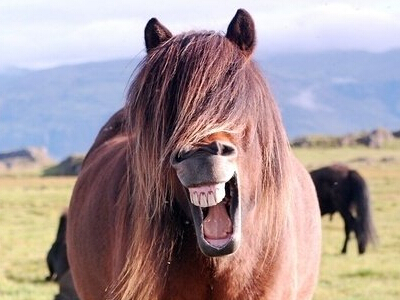 微信搞笑說說點(diǎn)開全文，QQ空間說說展開全文