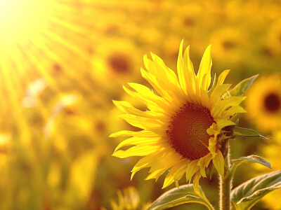 勵(lì)志說(shuō)說(shuō)致自己帶圖片6