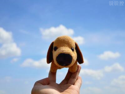 關(guān)于單身狗的說說，單身狗搞笑說說