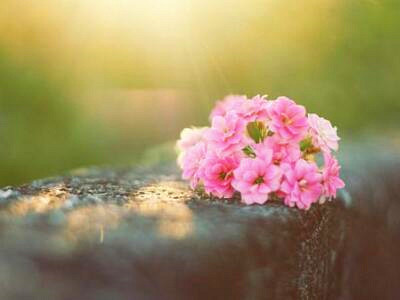 帶圖片的經(jīng)典說說1 帶圖片的經(jīng)典說說1