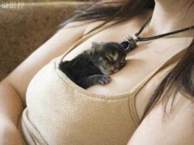 搞笑內(nèi)涵段子，史上最牛的內(nèi)涵段子