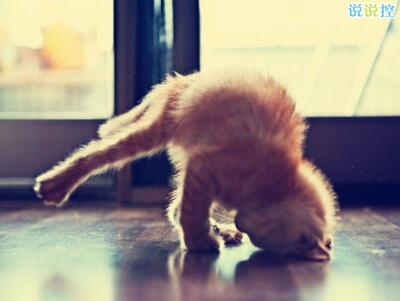 哲理英文說說帶圖片，哲理英文句子帶翻譯1