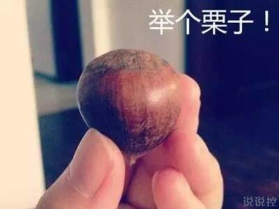 最搞笑的說說帶圖片，2017搞笑說說帶圖片4