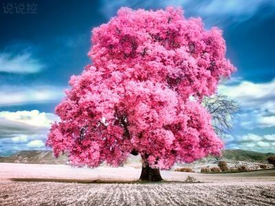 傷感唯美圖片說(shuō)說(shuō)，唯美傷感說(shuō)說(shuō)配圖6