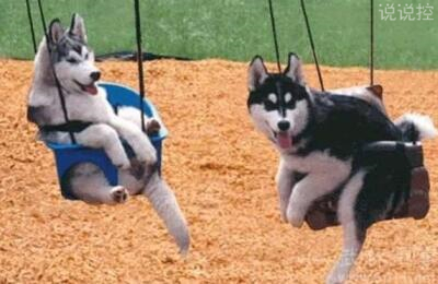 關(guān)于搞笑的說說，關(guān)于搞笑的句子