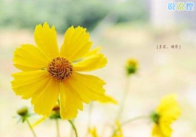 勵志的說說帶圖片，勵志的句子圖片5