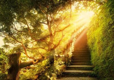 勵志的說說帶圖片，勵志的句子圖片6