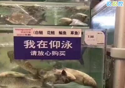 QQ搞笑說說帶圖片，空間搞笑說說帶圖片6