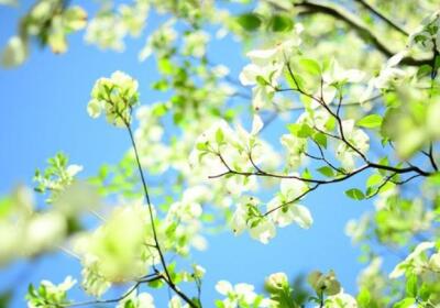 有意境說說帶圖片，意境說說配圖片3