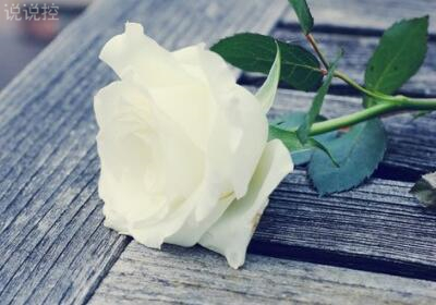 有意境說說帶圖片，意境說說配圖片6