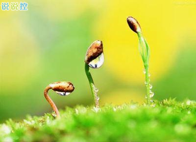 勵(lì)志的句子加圖片6