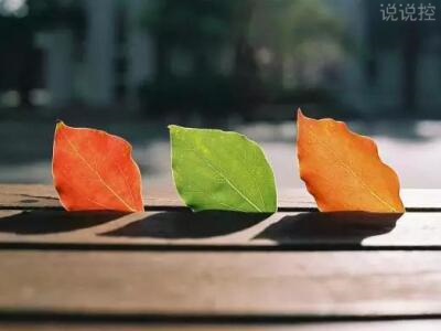 QQ空間唯美說說帶圖片1