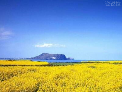 2018經(jīng)典句子帶圖片，經(jīng)典句子配圖1