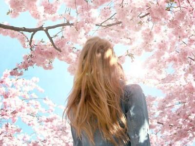 2018經(jīng)典句子帶圖片，經(jīng)典句子配圖7