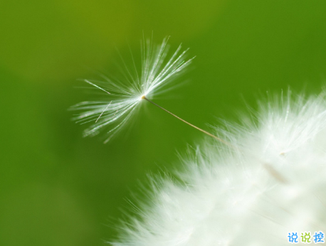 幸福愛情個(gè)性說說大全最新版配圖 2018唯美愛情說說帶圖片14