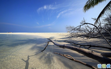 比較有深度很受歡迎的愛(ài)情說(shuō)說(shuō)帶圖片 對(duì)愛(ài)情有所感悟的經(jīng)典說(shuō)說(shuō)大全14