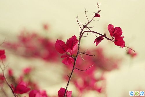 出去玩的心情說(shuō)說(shuō)簡(jiǎn)短2019 出去游玩的微信朋友圈說(shuō)說(shuō)2