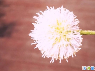 微信個(gè)性說說簡(jiǎn)短帶圖片 很不一樣的微信說說精選3